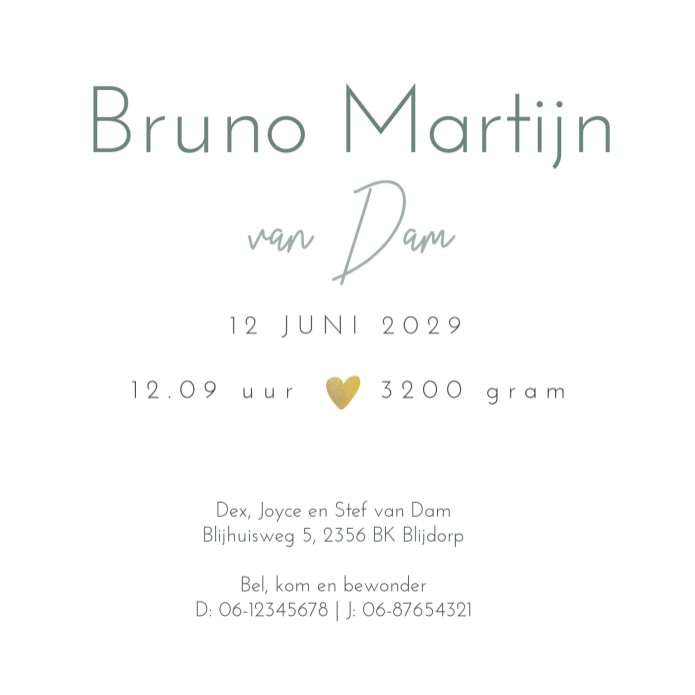 Geboortekaartje jongen groen lijntekening Bruno