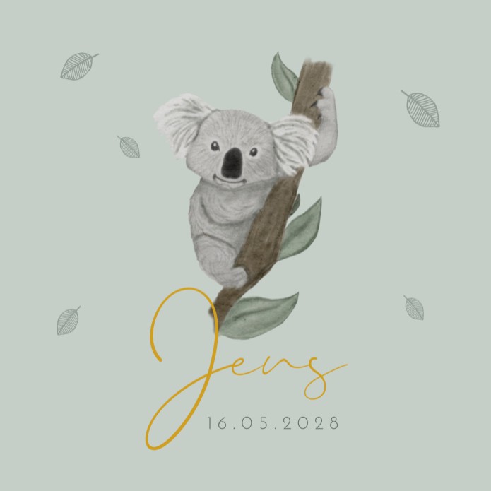 Geboortekaartje jongen koala boom Jens