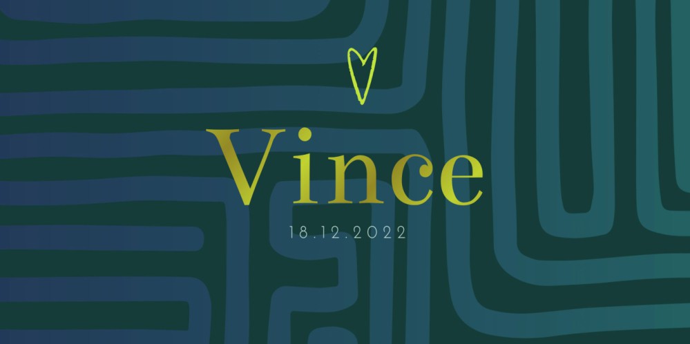 Geboortekaartje jongen minimalistisch folie Vince