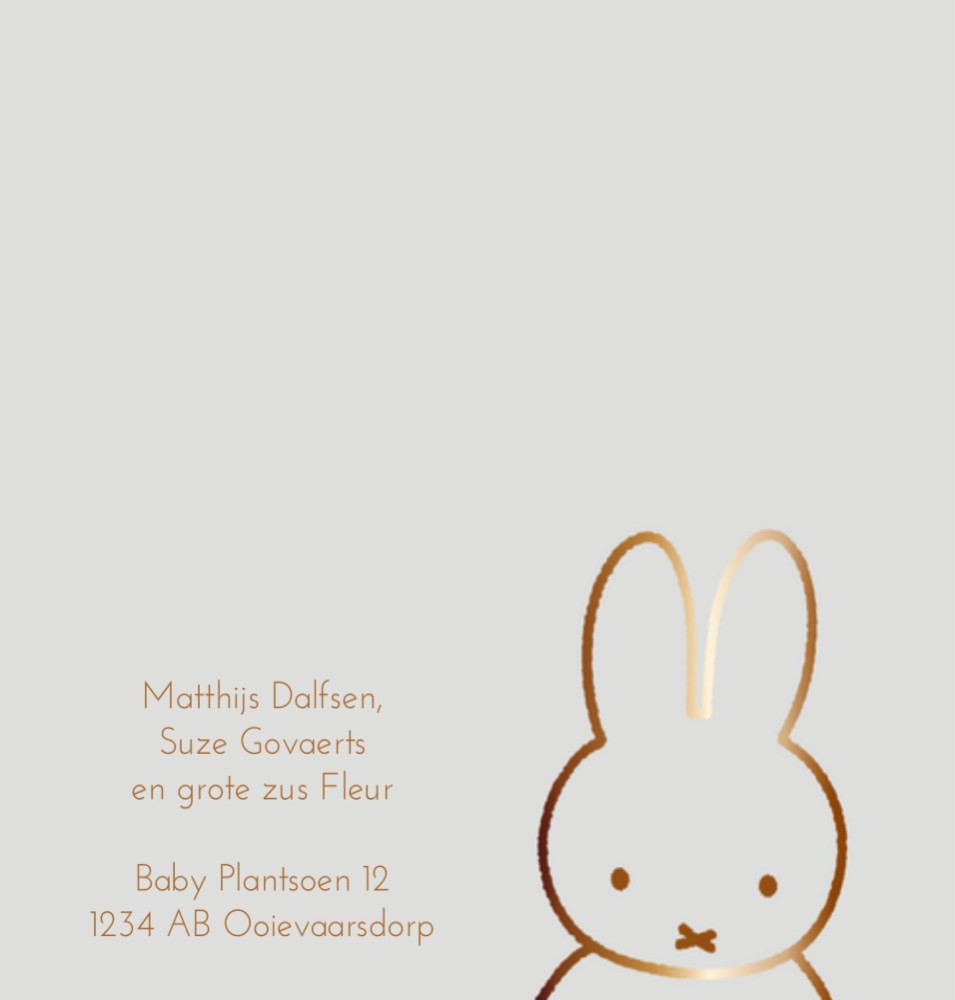 kaart binnenzijde links