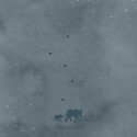 Geboortekaartje blauw met goudfolie olifanten Sammie achter