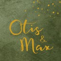 Geboortekaartje betonlook groen Otis & Max voor