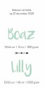 Geboortekaartje dierenprint Boaz & Lilly binnen
