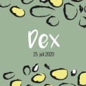 Geboortekaartje Dierenprint Dex voor