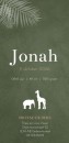 Geboortekaartje olifant giraffe silhouette Jonah achter