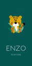 Geboortekaartje cheetah groen Enzo voor