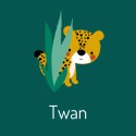 Geboortekaartje cheetah groen Twan voor