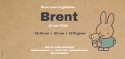 Geboortekaartje nijntje Kraft Brent achter