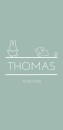 Geboortekaartje nijntje minimalistisch groen Thomas voor