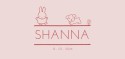 Geboortekaartje nijntje minimalistisch roze rood Shanna voor