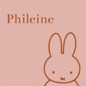 Geboortekaartje nijntje portret roze Phileine voor
