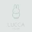 Geboortekaartje nijntje zachtblauw Lucca voor