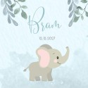 Geboortekaartje zoon dieren olifant blauwe watercolor Bram voor