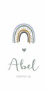 Geboortekaartje regenboog tweeling Lena & Abel