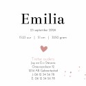 Geboortekaartje meisje roze aquarel Emilia binnen