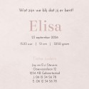 Geboortekaartje meisje dochter roze betonlook Elisa binnen
