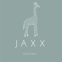 Geboortekaartje Dieren Giraffe Jaxx voor