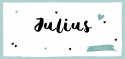 Geboortekaartje Hartjes Julius voor