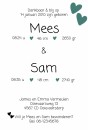 Geboortekaartje Hartjes Mees & Sam achter