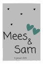 Geboortekaartje Hartjes Mees & Sam voor