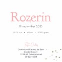 Geboortekaartje meisje watercolour roze met rosegoud Rozerin binnen