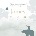 Geboortekaartje jongen silhouette bosdieren James binnen