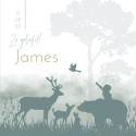 Geboortekaartje jongen silhouette bosdieren James voor