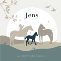 Geboortekaartje jongen silhouette paard Jens voor