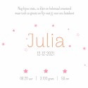 Geboortekaartje vos met kroon op roze wolk Julia binnen