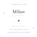 Geboortekaartje jongen silhouette wiegje Milan binnen