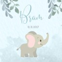 Geboortekaartje jongen dieren olifant watercolor Bram voor