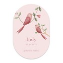 Geboortekaartje meisje Little Dutch ovaalvorm vogel Indy