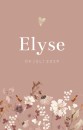 Geboortekaartje meisje droogbloemen oudroze Elyse voor