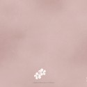 Geboortekaartje meisje Prénatal roze bloemen Bonnie achter