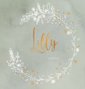 Geboortekaartje meisje met bloemenkrans  Lilly voor