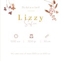 Geboortekaartje meisje droogbloemen oudroze Lizzy binnen