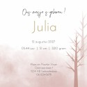 Geboortekaartje meisje silhouette beren Julia binnen