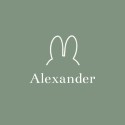 Geboortekaartje nijntje minimalistisch groen Alexander voor