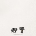 Geboortekaartje Prénatal tweeling olifanten Fay & Mae achter