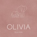 Geboortekaartje meisje roze olifanten Olivia voor
