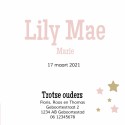 Geboortekaartje Silhouet Roze Lily Mae binnen