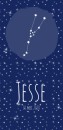 Geboortekaartje sterrenbeeld stier Jesse voor