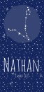 Geboortekaartje sterrenbeeld vissen Nathan voor