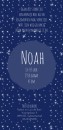 Geboortekaartje sterrenbeeld ram Noah achter