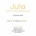 Geboortekaartje stippen geel vrolijk Julia binnen