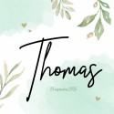 Geboortekaartje Takjes Thomas voor