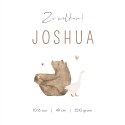 Geboortekaartje neutraal luchtballon beer Joshua binnen