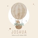 Geboortekaartje neutraal luchtballon beer Joshua voor