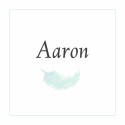 Geboortekaartje Veertje Aaron voor