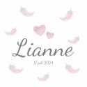 Geboortekaartje Veertjes Lianne voor